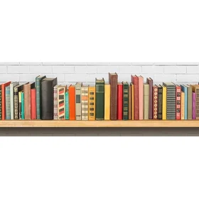 immagine decorativa